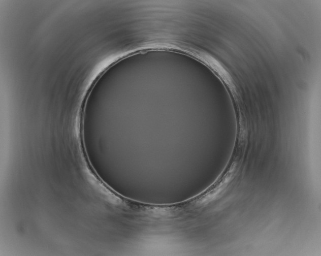 X0000110710958200906121352