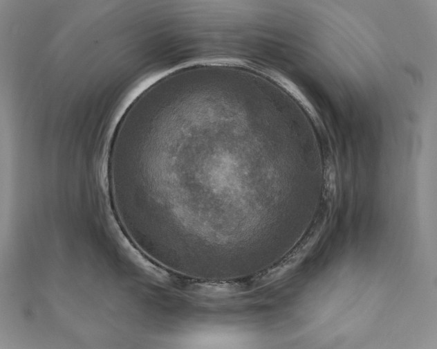 X0000110710959200906121352