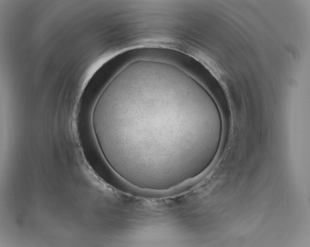 X0000110710960200906121352