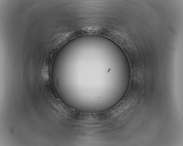 X0000110710962200906121351