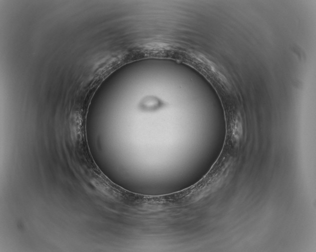 X0000110710964200906121351