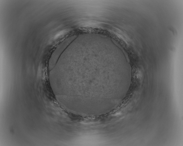 X0000110710965200906121351