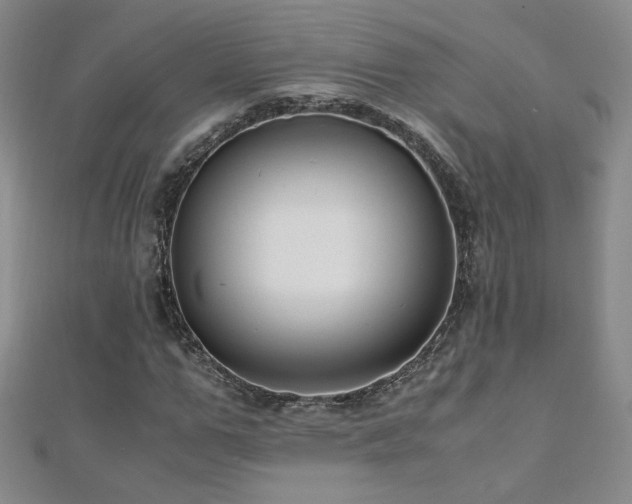 X0000110710967200906121351
