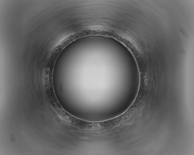 X0000110710968200906121351