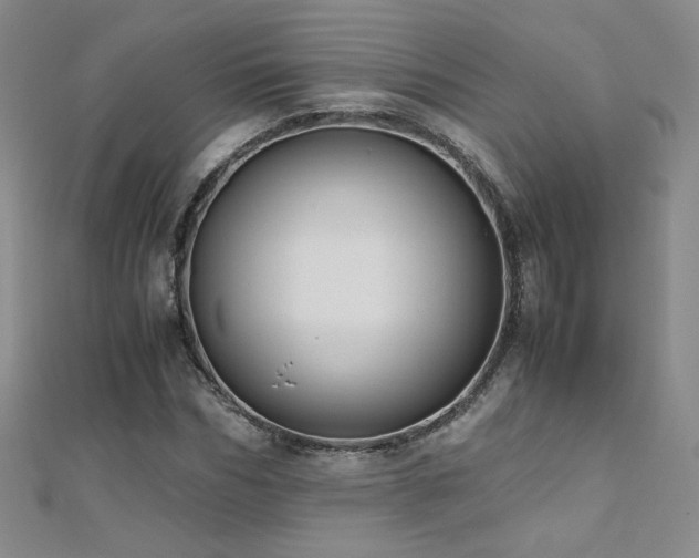 X0000110710970200906121351