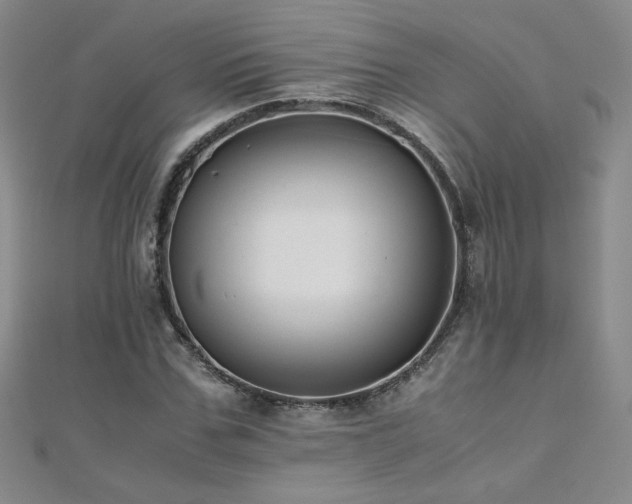 X0000110710971200906121351