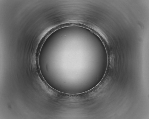X0000110710972200906121351