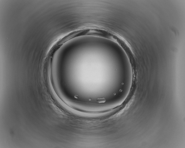 X0000110710973200906121351
