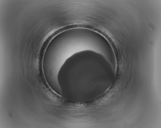 X0000110710975200906121351