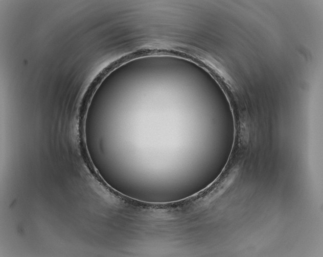 X0000110710976200906121351