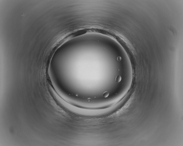 X0000110710977200906121351
