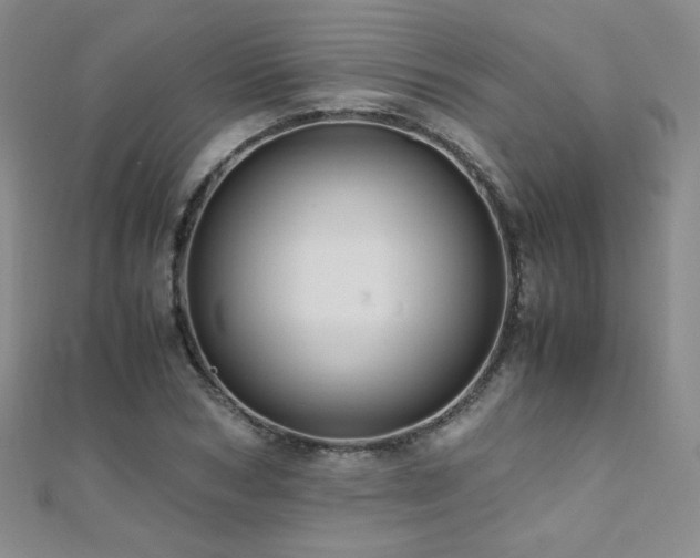 X0000110710978200906121351