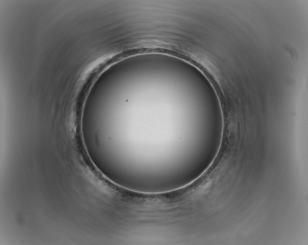 X0000110710979200906121351