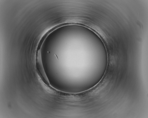 X0000110710980200906121351