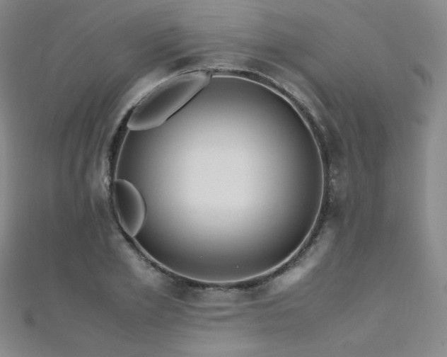 X0000110710981200906121351