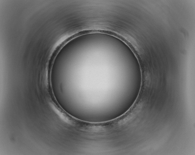 X0000110710982200906121351