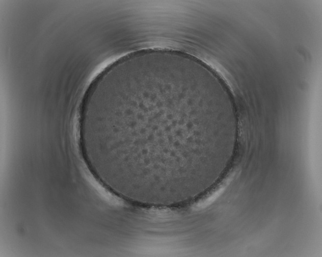 X0000110710983200906121351