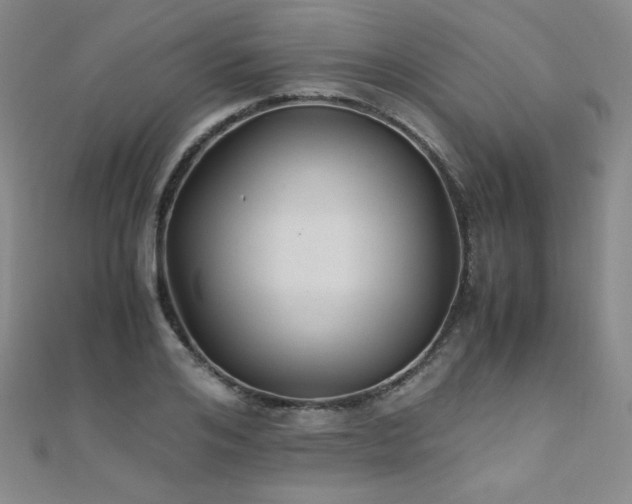 X0000110710984200906121351