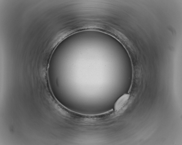 X0000110710985200906121351