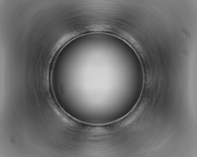X0000110710986200906121351