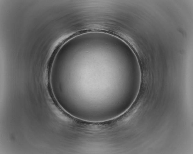 X0000110710987200906121351