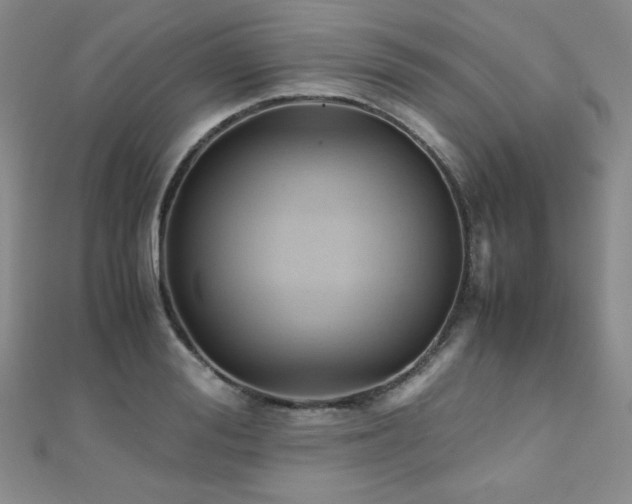 X0000110710988200906121351
