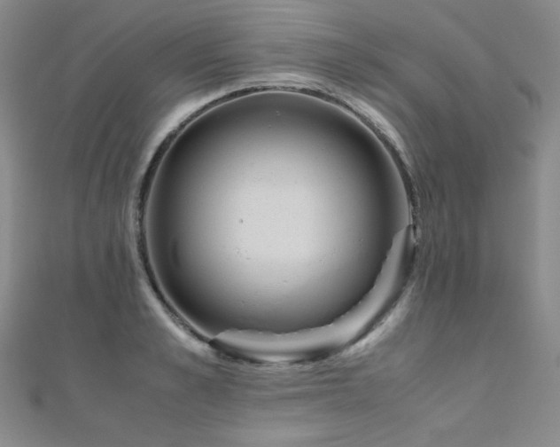 X0000110710989200906121351