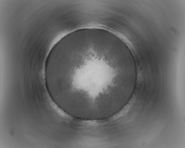 X0000110710990200906121351