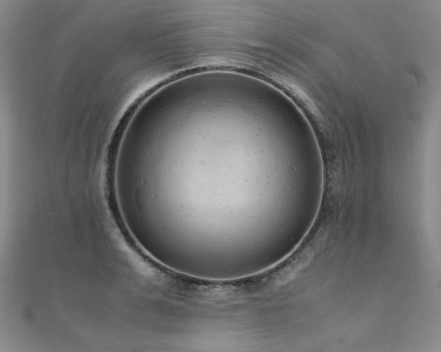 X0000110710991200906121351