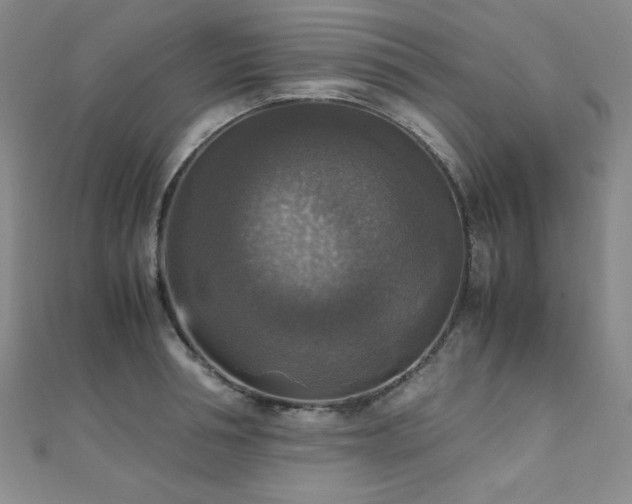 X0000110710994200906121351