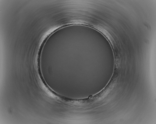 X0000110710995200906121351