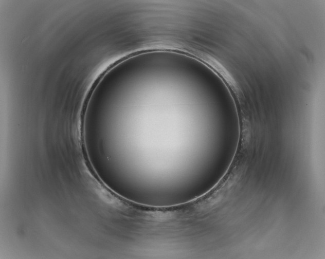 X0000110710996200906121351