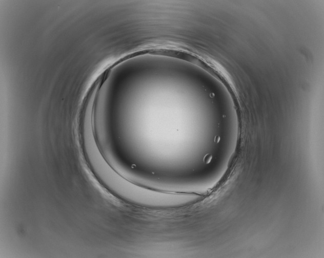 X0000110710997200906121351