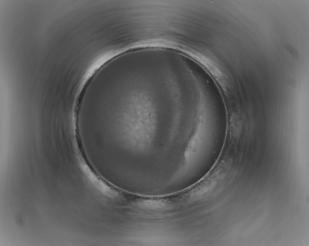 X0000110710998200906121351