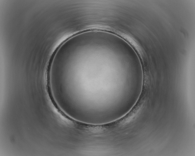 X0000110710999200906121351