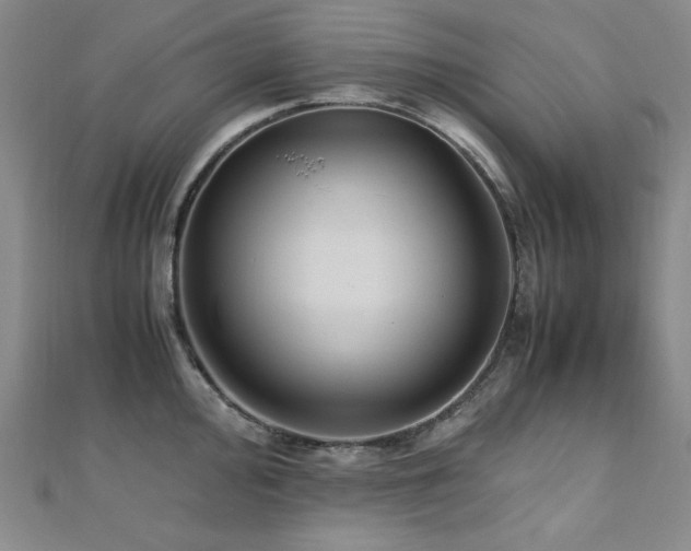 X0000110711000200906121351