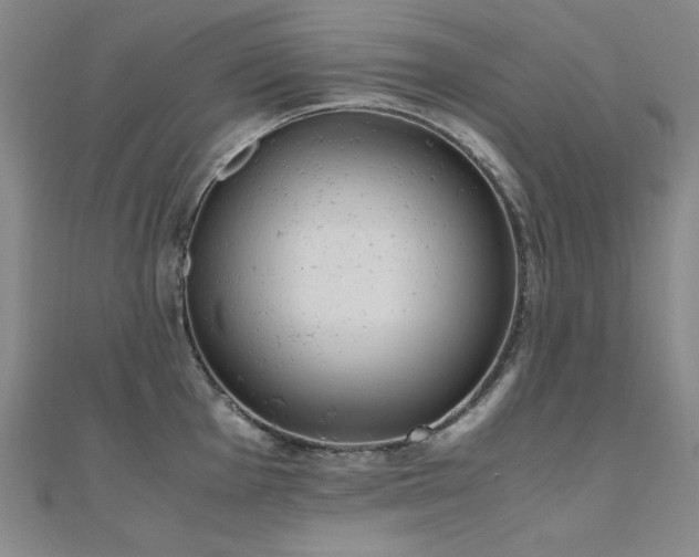X0000110711001200906121351