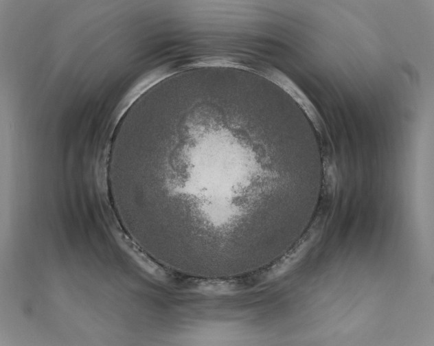 X0000110711002200906121351