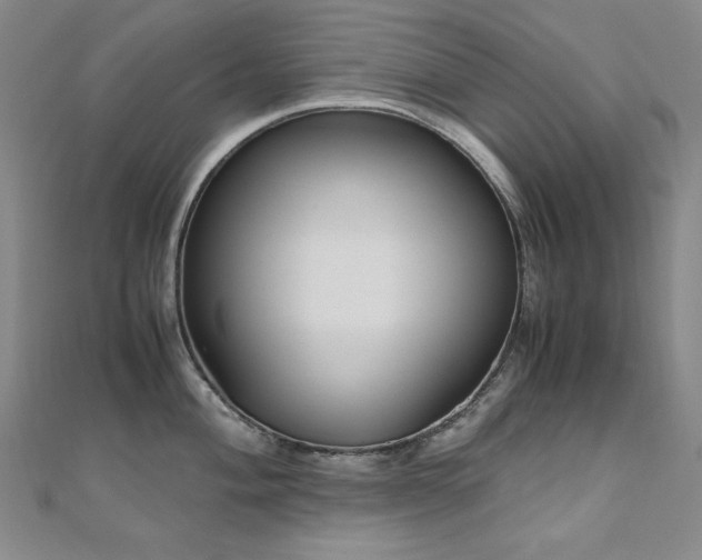 X0000110711004200906121351