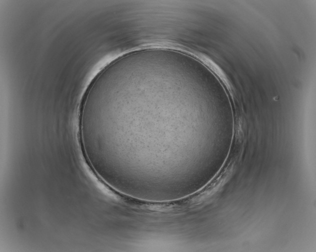 X0000110711005200906121351
