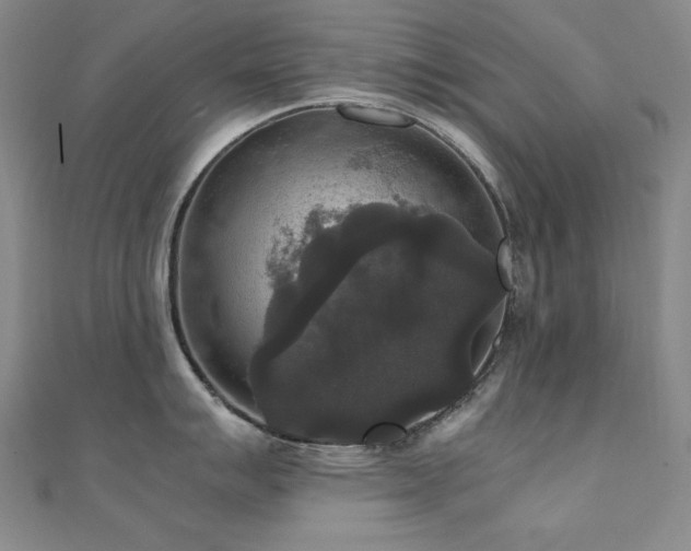 X0000110711007200906121350