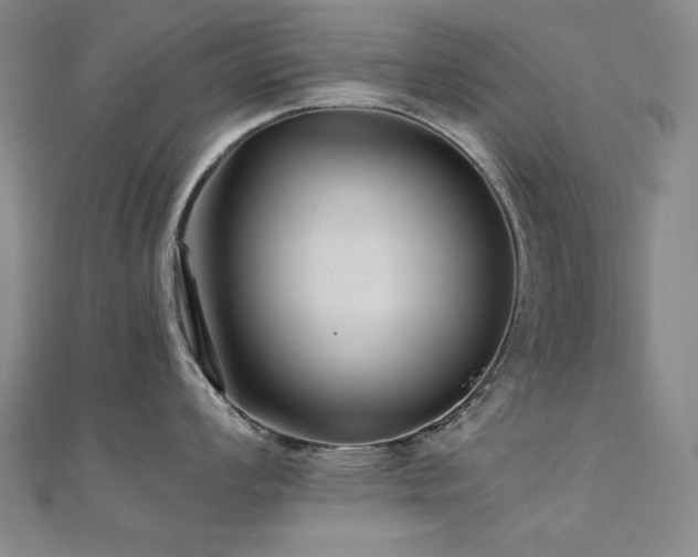 X0000110711008200906121350