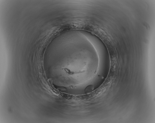 X0000110711009200906121350