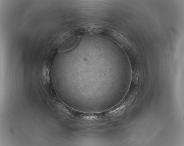 X0000110711010200906121350