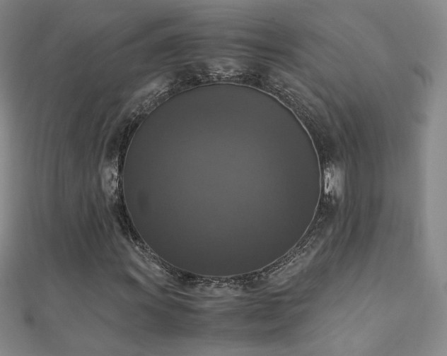 X0000110711011200906121350