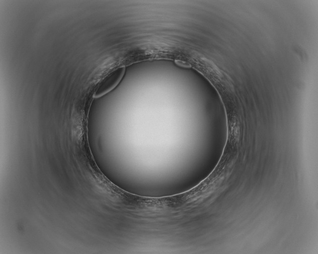X0000110711012200906121350