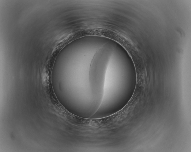 X0000110711013200906121350