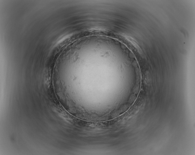 X0000110711015200906121350