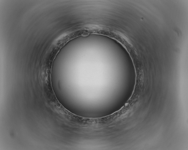 X0000110711016200906121350
