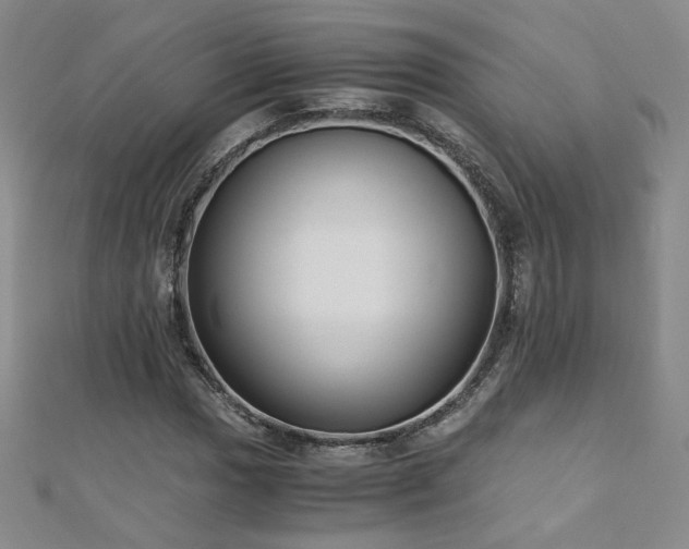 X0000110711017200906121350